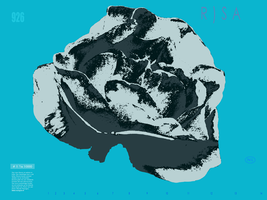 2011 - r)sa grafische roos m tekst BEELD GUSTAVE PETIT