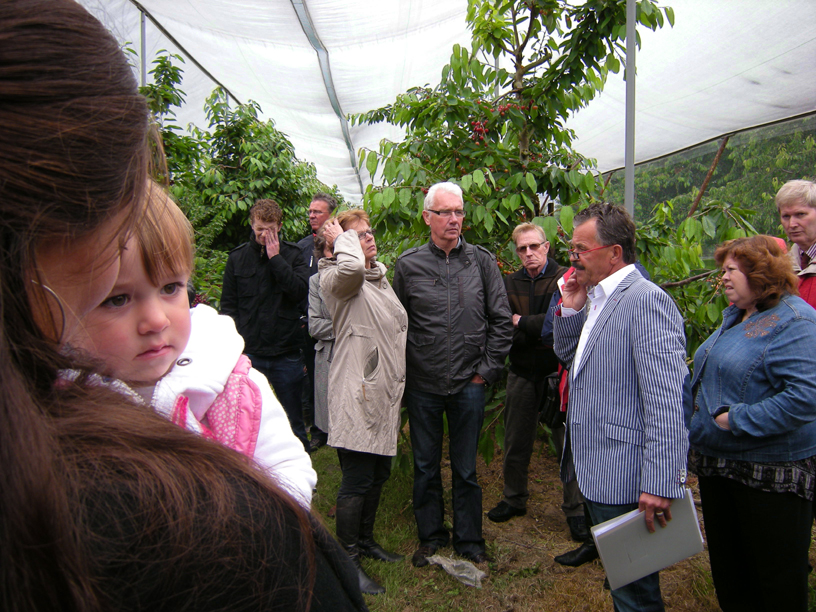 2011-7619 pronkheer betuwe FOTO GUSTAVE PETIT