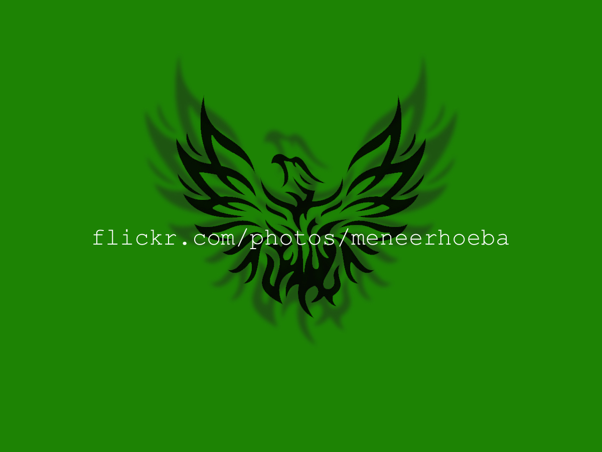 2016 - fenix fotolog laatste BEELD GUSTAVE PETIT