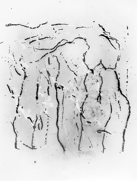 1984-3 FE-006 - no 3 olwen COPYRIGHT GUSTAVE PETIT