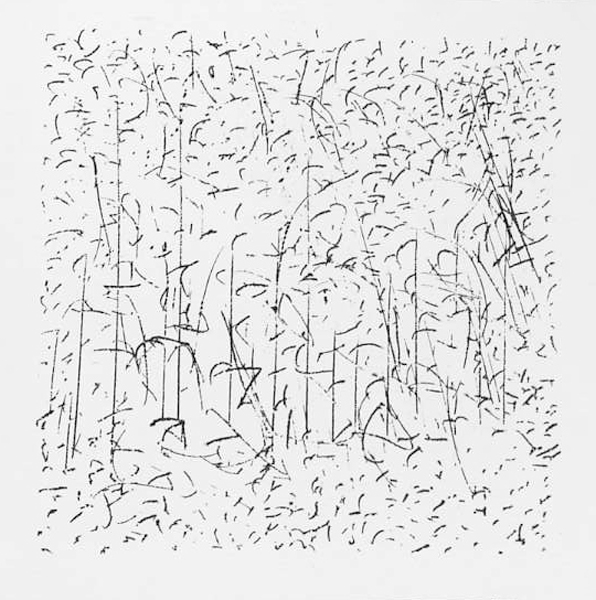 1984-9 FE-018 ZT COPYRIGHT GUSTAVE PETIT