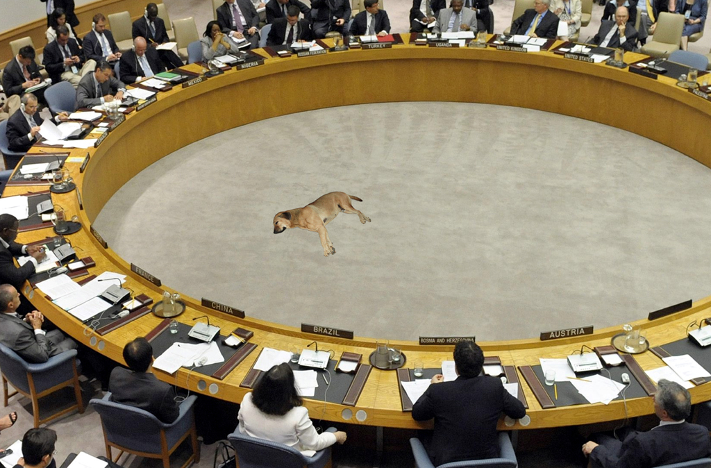 2013 - Veiligheidsraad slpnd hond idee en beeld Gustave Petit