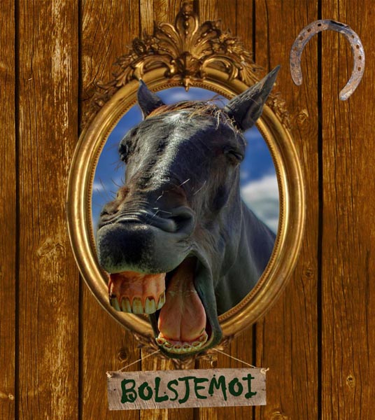 2013 - bolsjemoi BEELD GUSTAVE PETIT