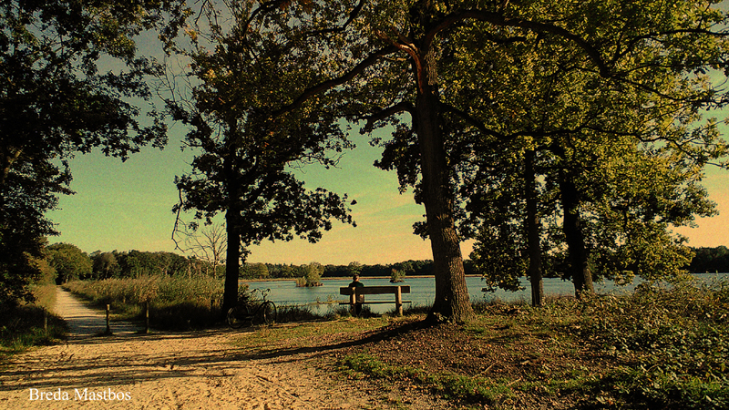 2015 slimfoon ansicht mastbos bank man PHOTO GUSTAVE PETIT