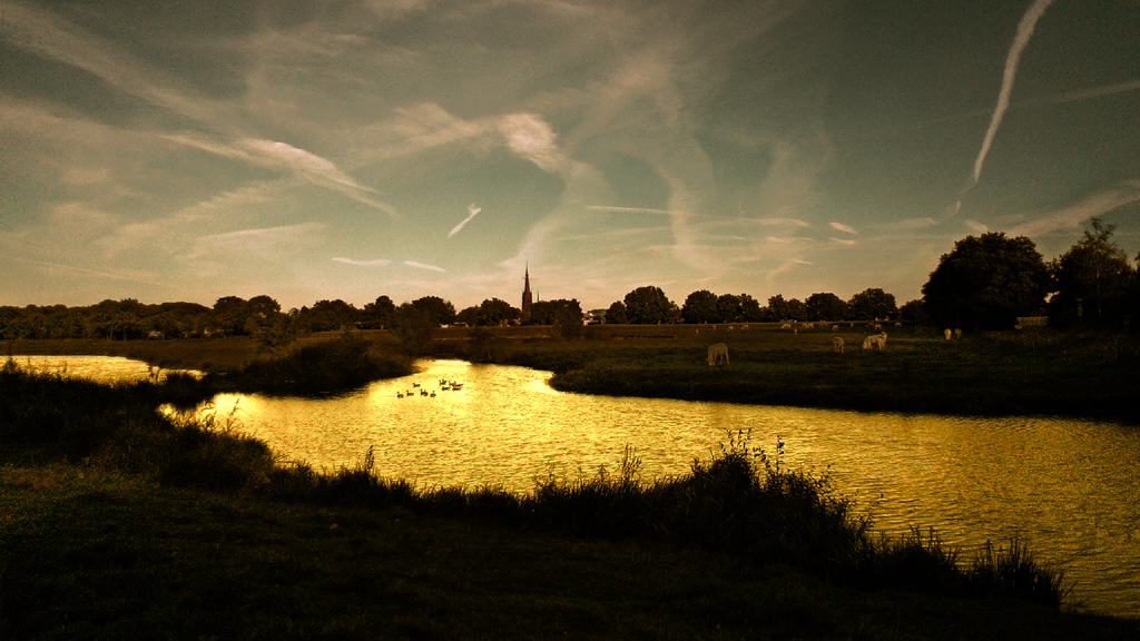 2015 slimfoon mark goud toren ulvenhout FOTO GUSTAVE PETIT