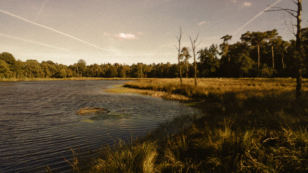 2015 slimfoon water 2 mastbos FOTO GUSTAVE PETIT