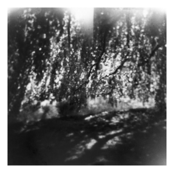 1983-73-06 PHOTO GUSTAVE PETIT