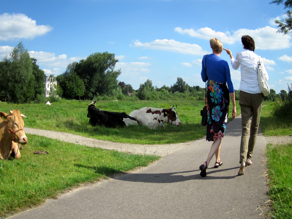 2012-0135 markdal dames PHOTO GUSTAVE PETIT