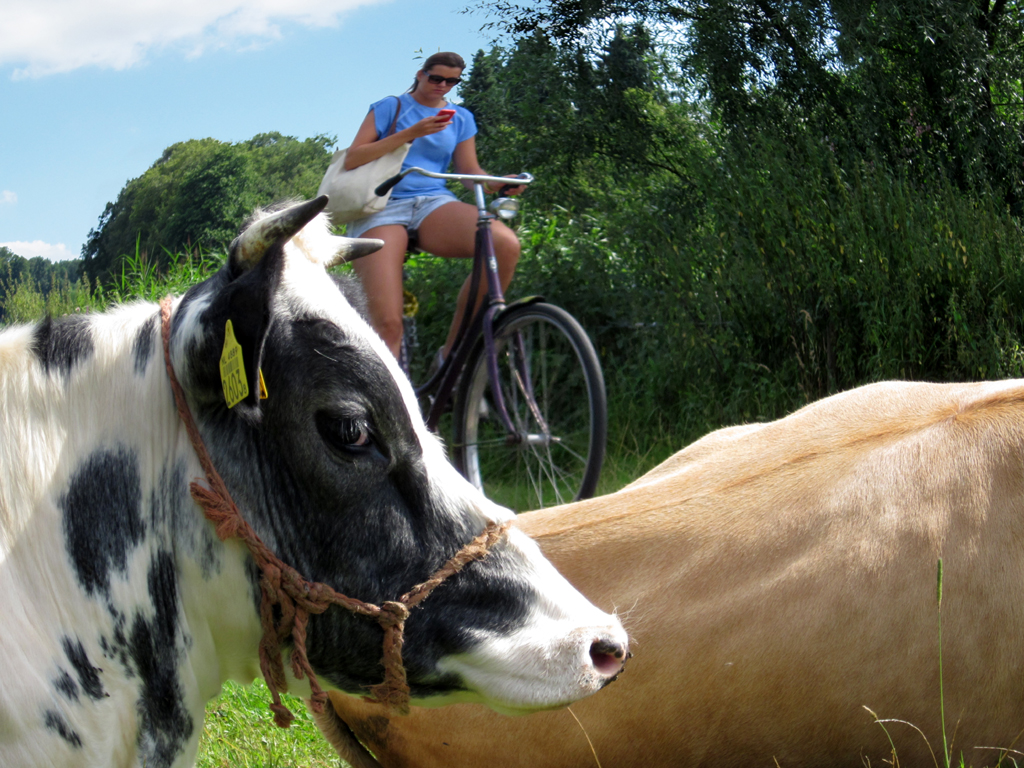 2012-0142 markdal dames 2 FOTO GUSTAVE PETIT