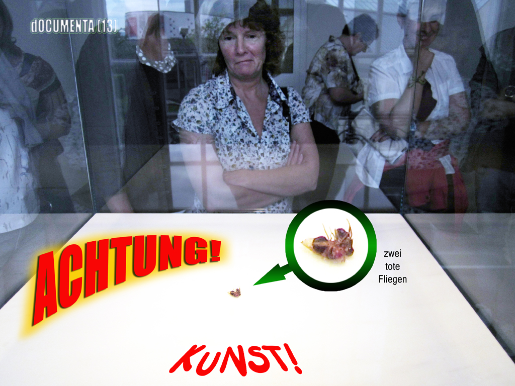 2012-0265 documenta13 FOTO GUSTAVE PETIT