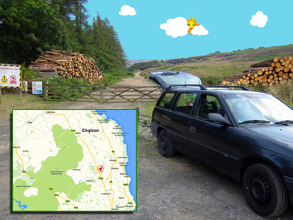 Northumberland timber break PHOTO GUSTAVE PETIT