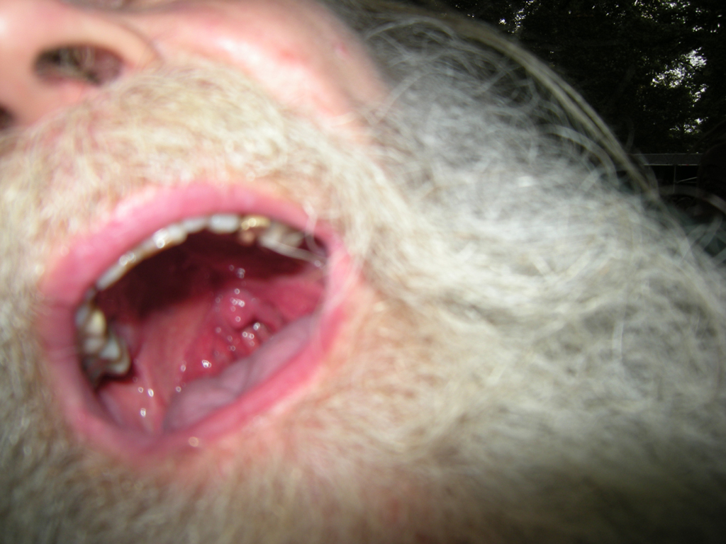 2010-5110 breda barst 03 PHOTO GUSTAVE PETIT