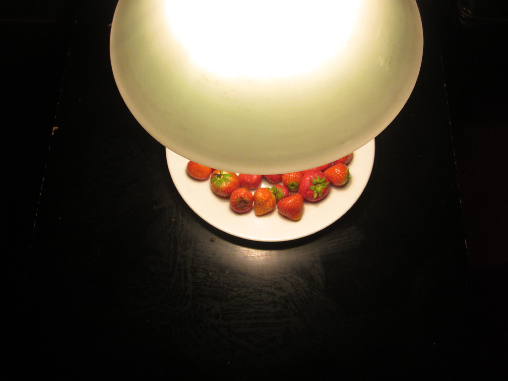2014-2933 lamp aardbei 02 FOTO GUSTAVE PETIT