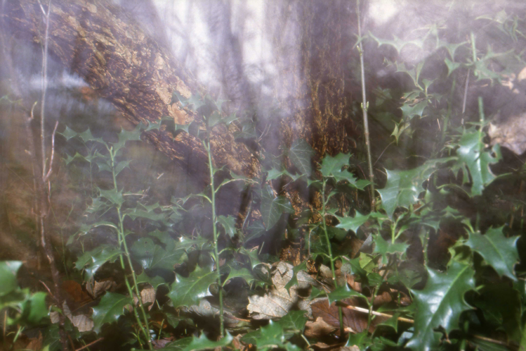 1986 hulst PHOTO GUSTAVE PETIT