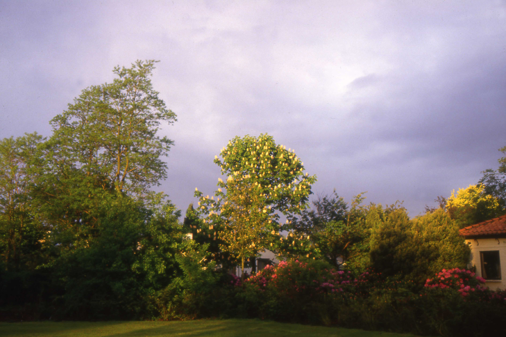 1986-Y2-001 avondlicht DIA GUSTAVE PETIT