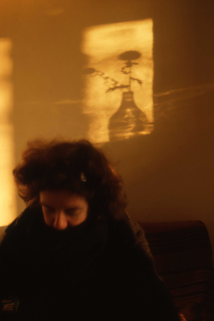 1986-Y4-002 schaduw bloem FOTO GUSTAVE PETIT