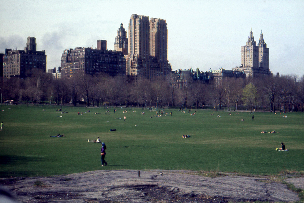 1982-N-16 PHOTO GUSTAVE PETIT